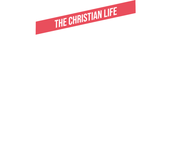 INFLUENCING YOUR WORLD - White